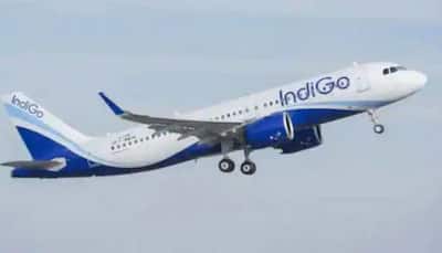 IndiGo Delhi-Vadodara flight diverted to Jaipur due to engine vibrations, DGCA orders probe
