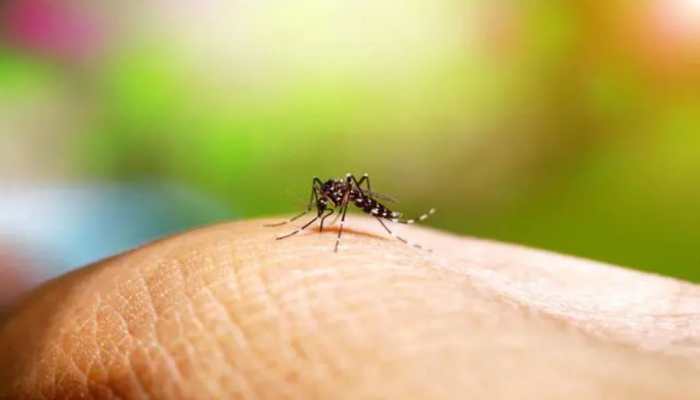 Japanese Encephalitis: Assam reports nine new cases, four more fatalities, death toll rises to 27