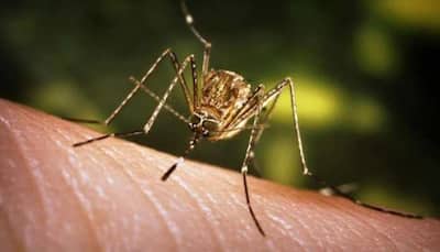 Japanese encephalitis virus kills 27 people in this Indian state; check signs and symptoms
