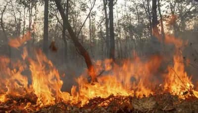 Wildfires stretching across Spain as heatwave continues