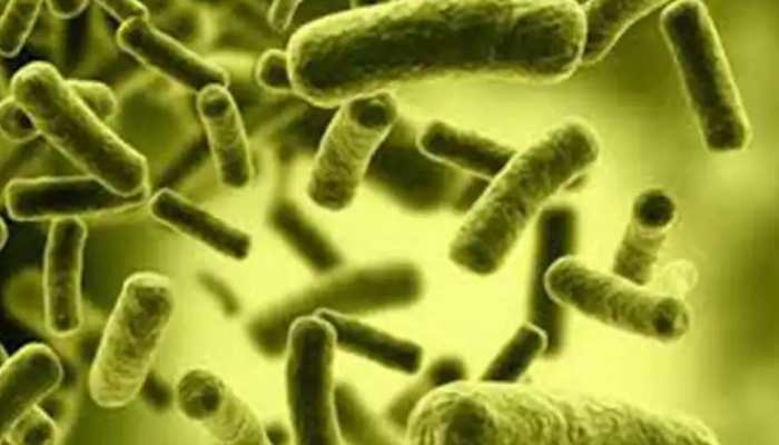 Odisha: Cholera outbreak kills 7 in Rayagada district, several infected; 2 other districts on alert