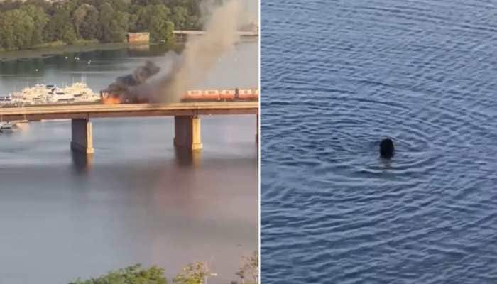 Train on Railway bridge catches fire, passengers jump into river to save life: Watch