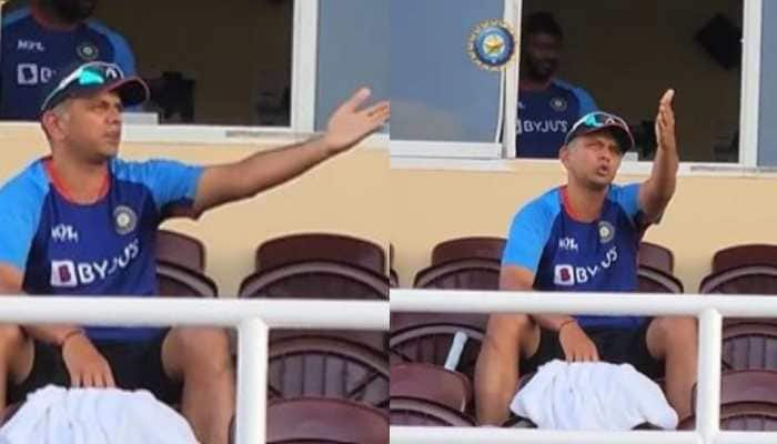 Rahul Dravid loses cool briefly in 1st IND vs WI ODI, BCCI shares video of coach&#039;s reaction during last-ball finish - Watch