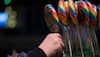 Taste candy and earn Rs 62 lakh! Too good to be true job offer has social media’s attention