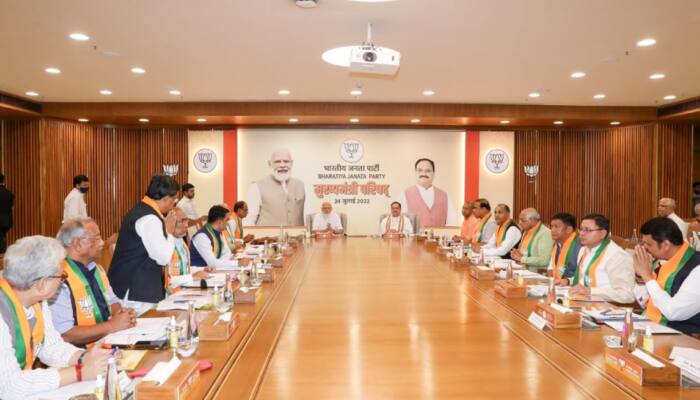 With schemes implementation on agenda, PM Modi meets CMs of all BJP-led states