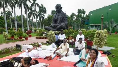 Chicken tandoori, gajar ka halwa and fruits on menu: Opposition protest turns into multi-cuisine feast