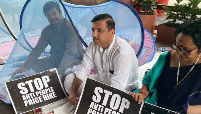 Armed with mosquito nets, Opposition MPs continue dharna outside Parliament