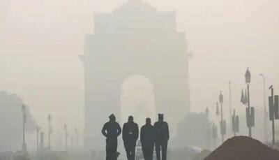 Delhi LG chairs review meet on air pollution, here's what was discussed