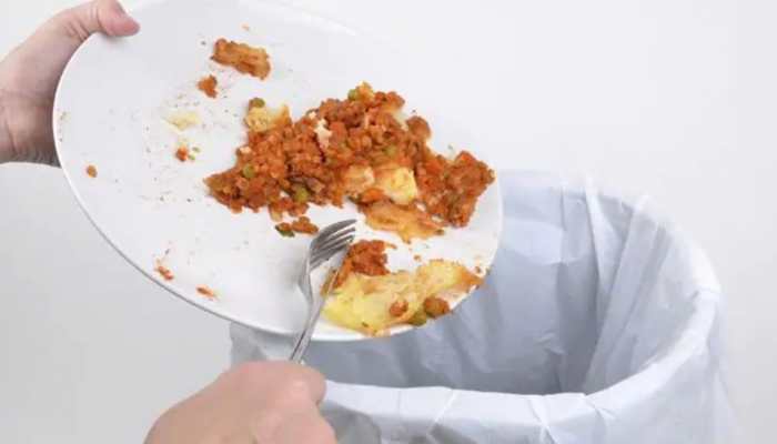 Cafeterias of Pak Parliament House sealed after cockroaches found in food