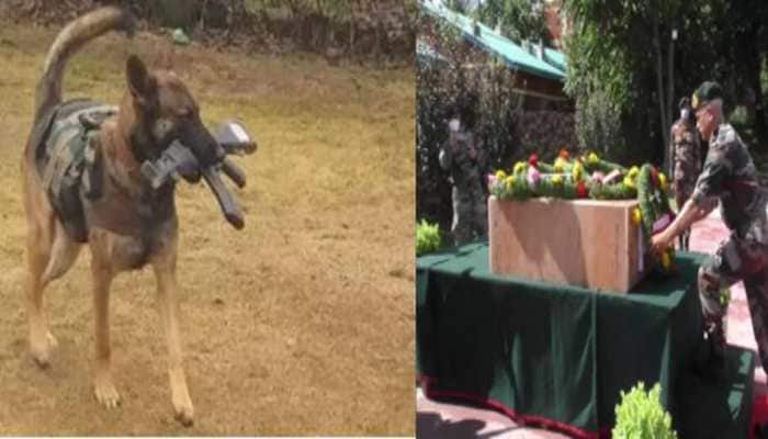 Salute, Axel! WARRIOR DOG died fighting terrorists in J&amp;K, Army pays TRIBUTE