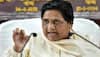 'Yeh Kaun Chidiya Hain...', Om Prakash Rajbhar ATTACKS Mayawati's 'FAMILY MEMBER' for THIS