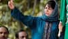 PDP Chief Mehbooba Mufti changes Twitter DP, displays old JK flag along with Indian tricolour