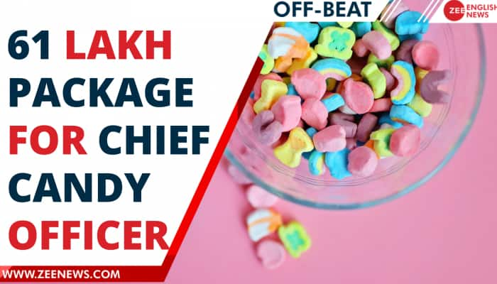 This Canadian company is giving you 61 lakh per year to become their chief candy taster | Zee English News