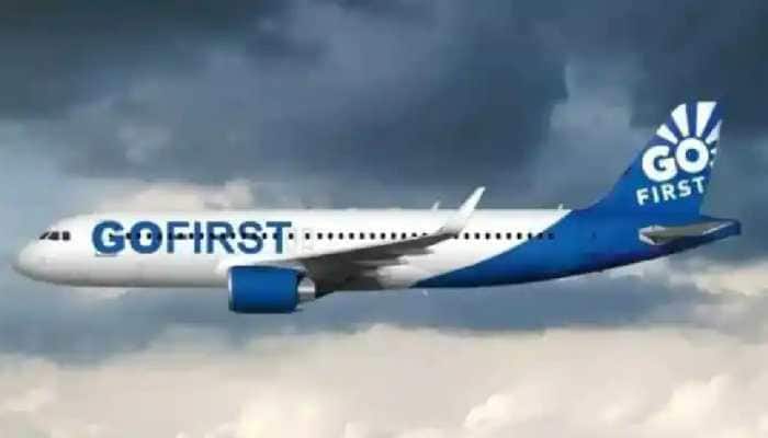 Go First Ahmedabad-Chandigarh flight diverted after bird hit, DGCA initiates probe
