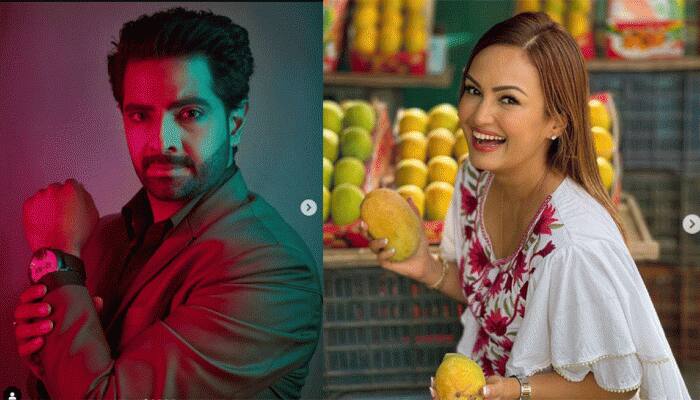SHOCKING: Karan Mehra accuses Nisha Rawal of having affair with 'bhai', who did her 'Kanyadaan'