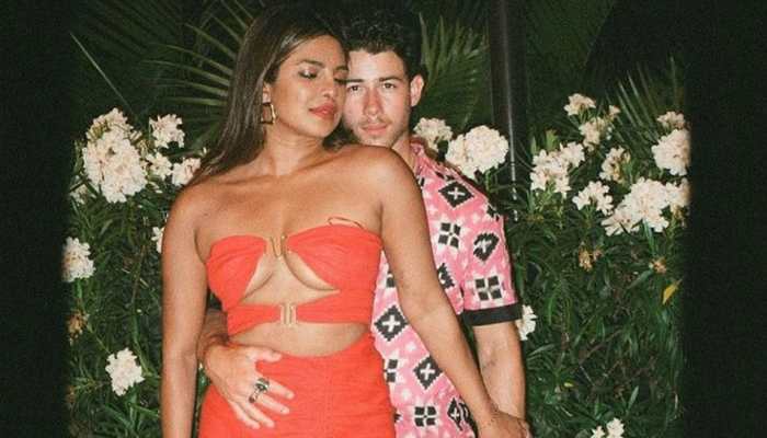 Priyanka Chopra gets BRUTALLY trolled for her blazing HOT pic with husband Nick Jonas!