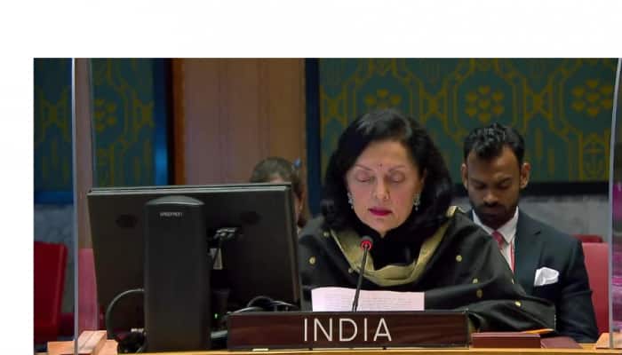 India slams China, Pakistan for double standards on terrorism at UNSC meet  | India News | Zee News