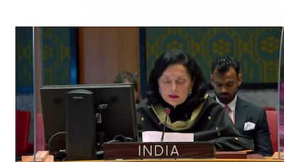 India slams China, Pakistan for double standards on terrorism at UNSC meet 