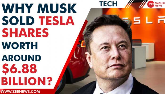 Latest: Why Elon Musk sold 7.92 million shares of Tesla, major one since April? | Zee English News