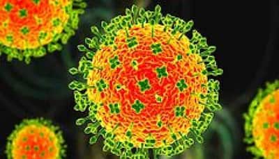 New Nipah like Langya virus infects 35 people in China, know about its symptoms, spread and other details
