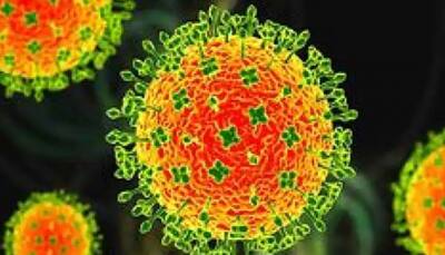 Langya virus shows how easily viruses can travel unnoticed from animals to humans