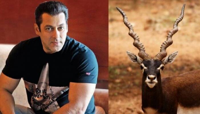 Bishnoi Community to build memorial honouring blackbuck killed by Salman Khan!