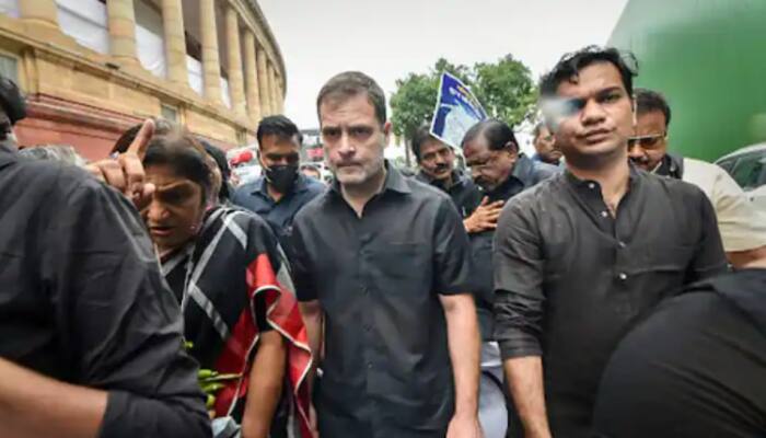 Congress' price rise rally: Party leadership to meet to discuss strategy