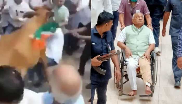 SHOCKER: Cow HITS former Gujarat Deputy Chief Minister during &#039;Tiranga Yatra&#039; on Road - WATCH