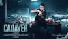Amala Paul's investigative thriller 'Cadaver' hits OTT platform with a bang