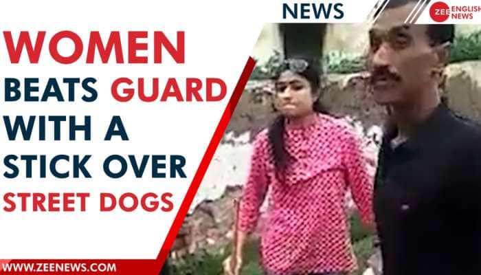 Woman thrashes security guard over his behavior with street dogs