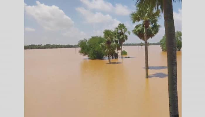 Odisha Floods: Over 1.5 lakh people affected; heavy rainfall may worsen situation