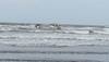 BOAT with WEAPONS found in Raigad belongs to Australian; Maharashtra govt says 'No TERROR...'