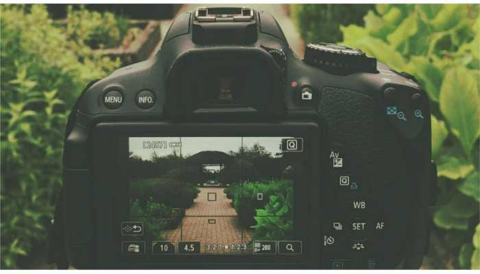 World Photography Day 2022: Here’s all you need to know to make career in photography