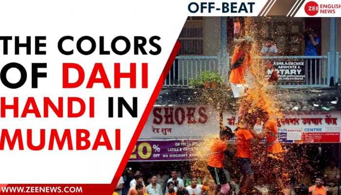 Watch these beautiful colours of Dahi Handi celebrations in different parts of Mumbai | Zee English