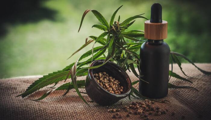 Cannabis prescribed for pain linked with risk of heart disorders: Study
