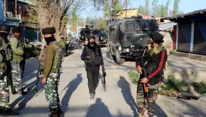 Grenade attack on minorities: Police arrest 1 more hybrid terrorist in Budgam