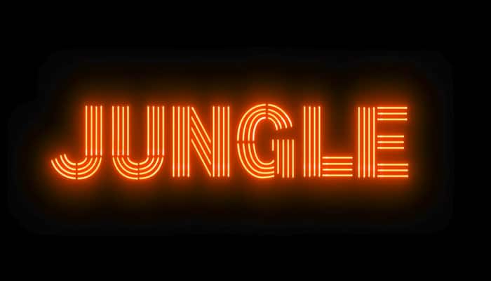 Trailer of much-anticipated series &#039;Jungle&#039; is finally OUT- Watch