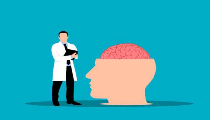 Obesity could be treated by mapping the brain stem's control: Study
