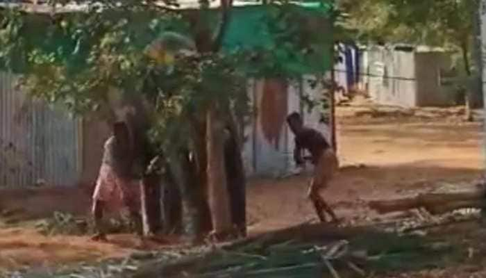 Video shows Temple elephant brutally beaten, PETA seeks action