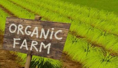 Ambrosia Organic Farm: The intriguing story about India's first organic company
