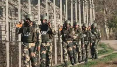 BSF detains 5 Bangladeshi nationals for illegally crossing border in Assam