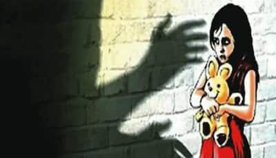 Gujarat man gets capital punishment for raping, murdering his 2-year-old niece
