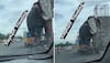 ‘Bada Hathi on Chota Hathi’; Tata Ace transporting Elephant is both amusing and dangerous: WATCH Video