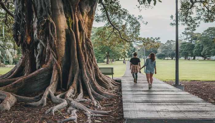 Regular exercise can reduce the risk of heart diseases: Study