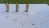 Magnetic IEDs recovered in J-K's Sopore, one suspect arrested: Police