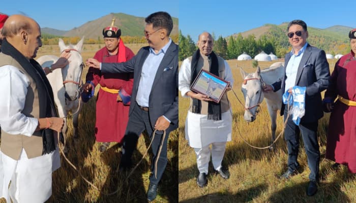 Rajnath Singh receives horse as a &#039;special gift&#039; from Mongolian President, names it &#039;Tejas&#039;