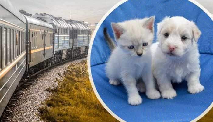 GOOD NEWS for Pet owners, now travel on train with your &#039;Loved Ones&#039; with Ease - CHECK how?