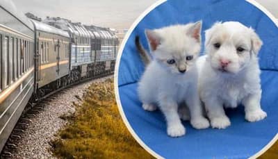 GOOD NEWS for Pet owners, now travel on train with your 'Loved Ones' with Ease - CHECK how?