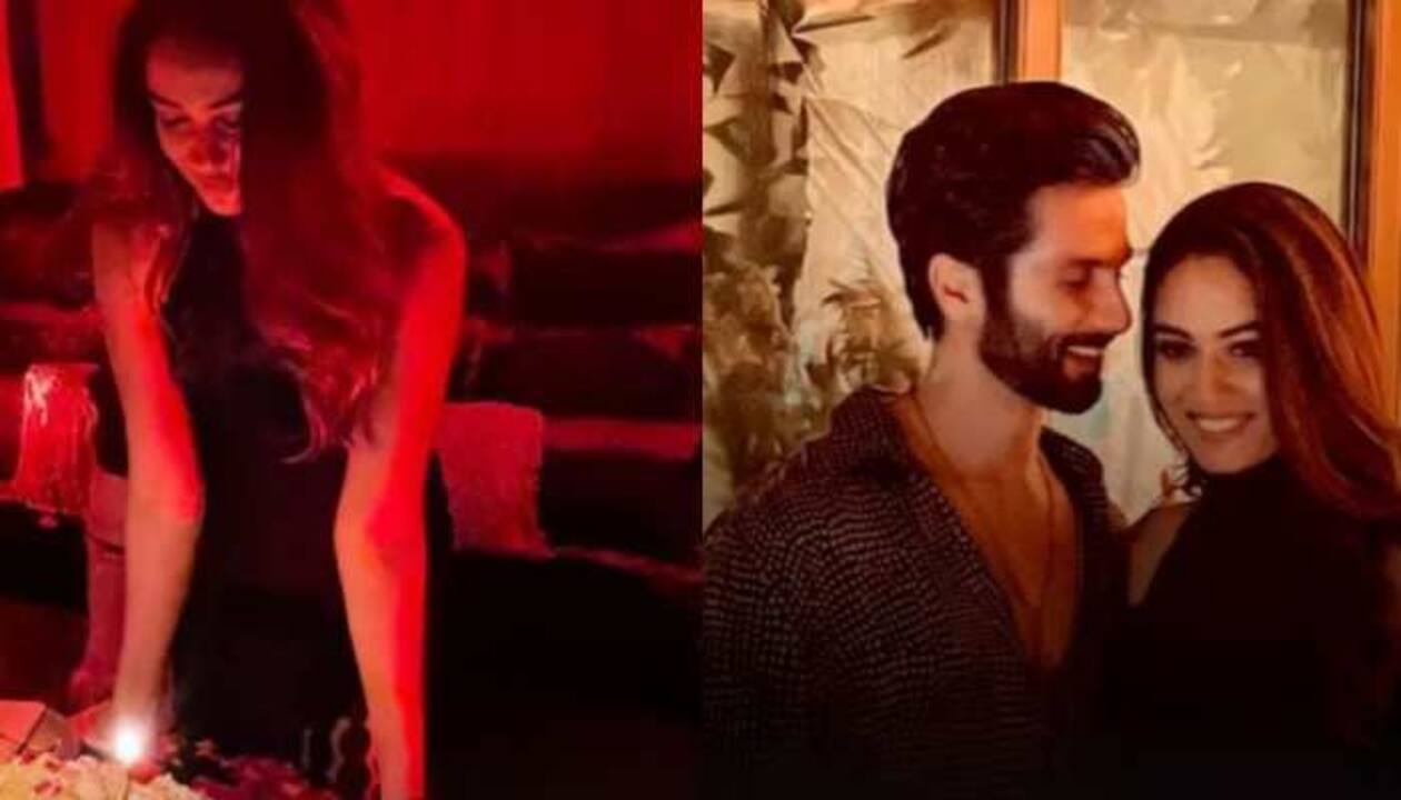 Shahid Kapoor Sex Video - Happy Birthday 'Mirabel': Shahid Kapoor hosts star-studded bash for wifey  Mira, picks up the mic - Watch | People News | Zee News