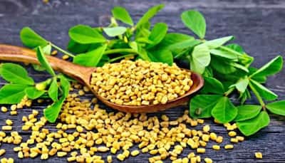 5 Fenugreek Seeds Health Benefits: The many blessings of nature